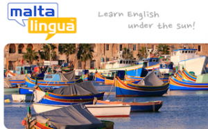malta-lingua malta-lingua