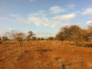 parque-nacional-amboseli parque-nacional-amboseli