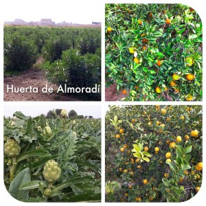 Huerta de Almoradí