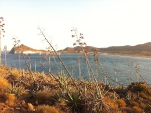 2014-08-13-senderismo-playa-los-genoveses-0045