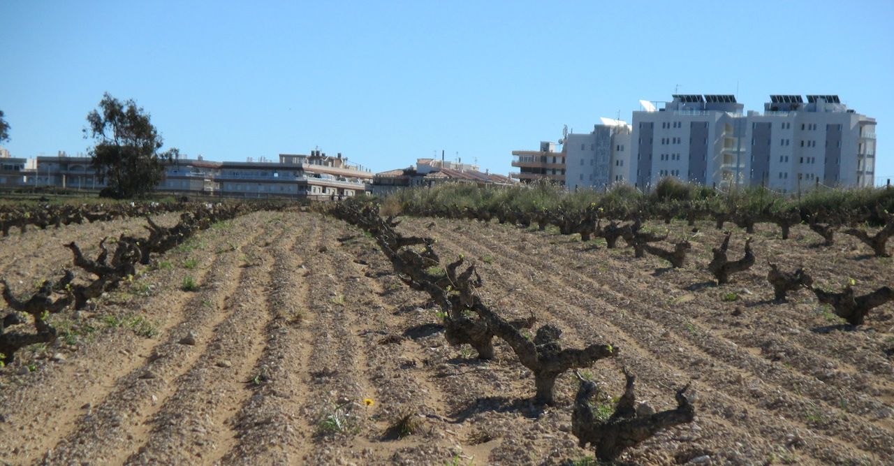Protección versus especulación.