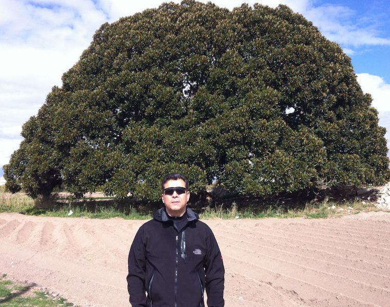 El autor delante del Ficus Centenario situado en la Vereda de los Mazones.