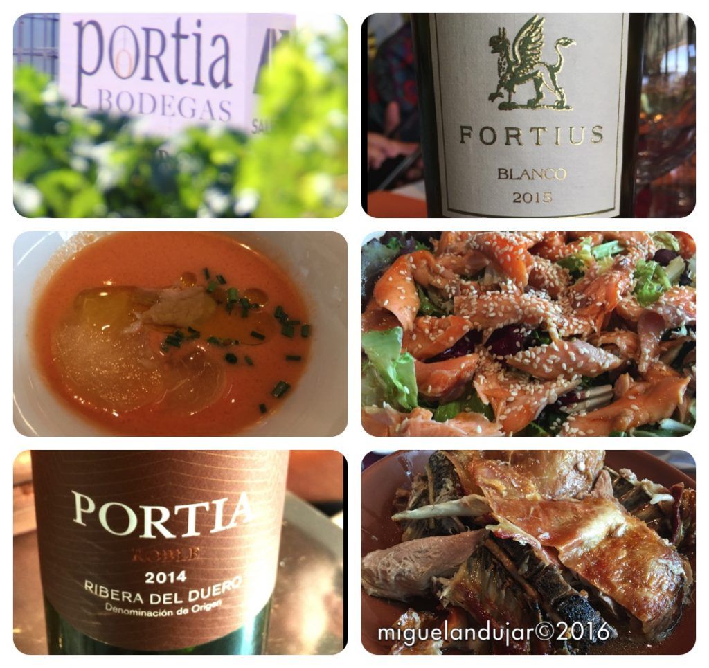 bodegas-portia