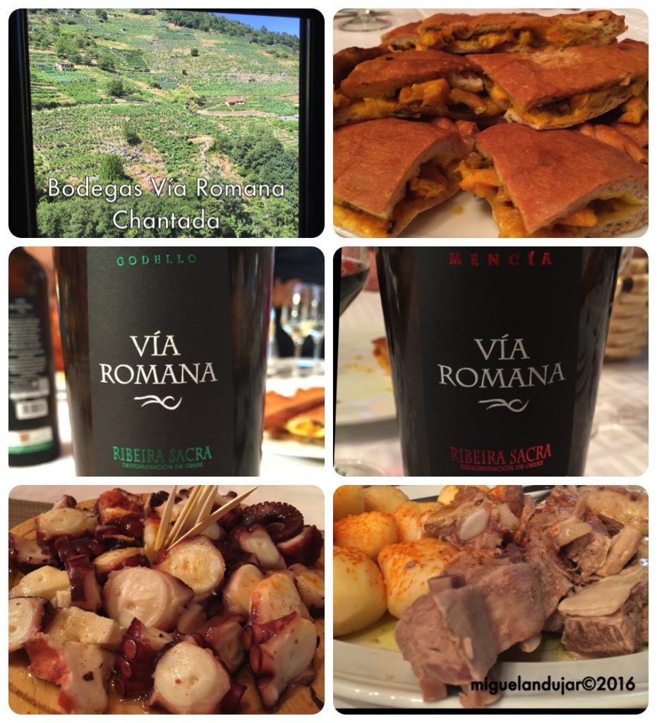 bodegas-via-romana