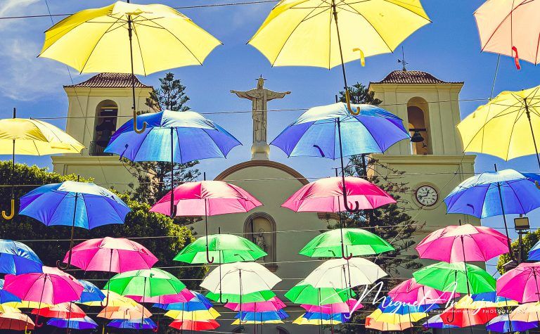 Iglesia y Plaza de Almoradí