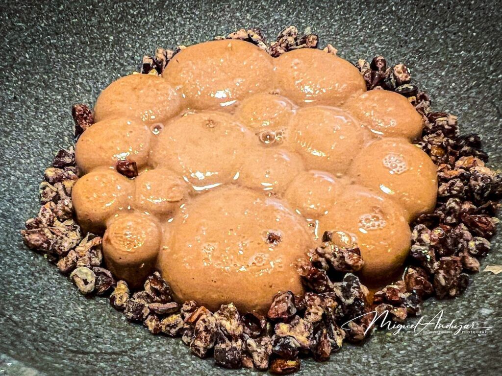 Mole de fiesta