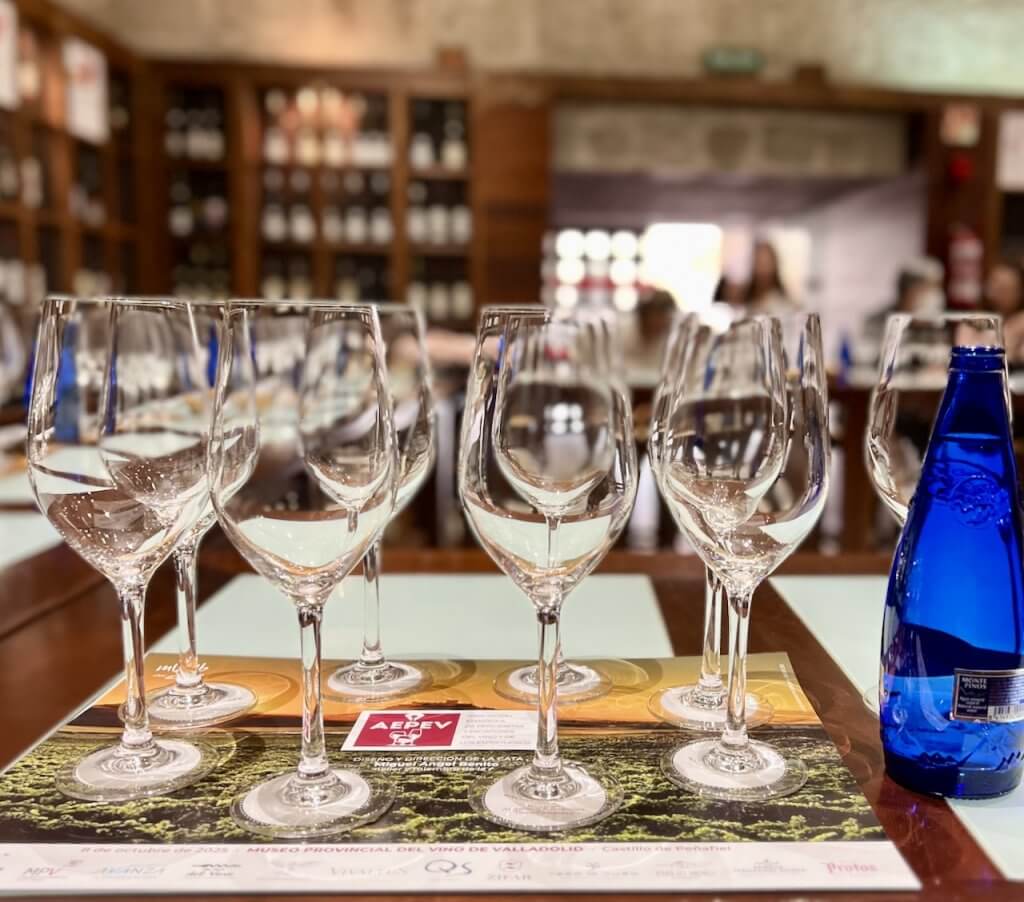 Cata Castillo de Peñafiel