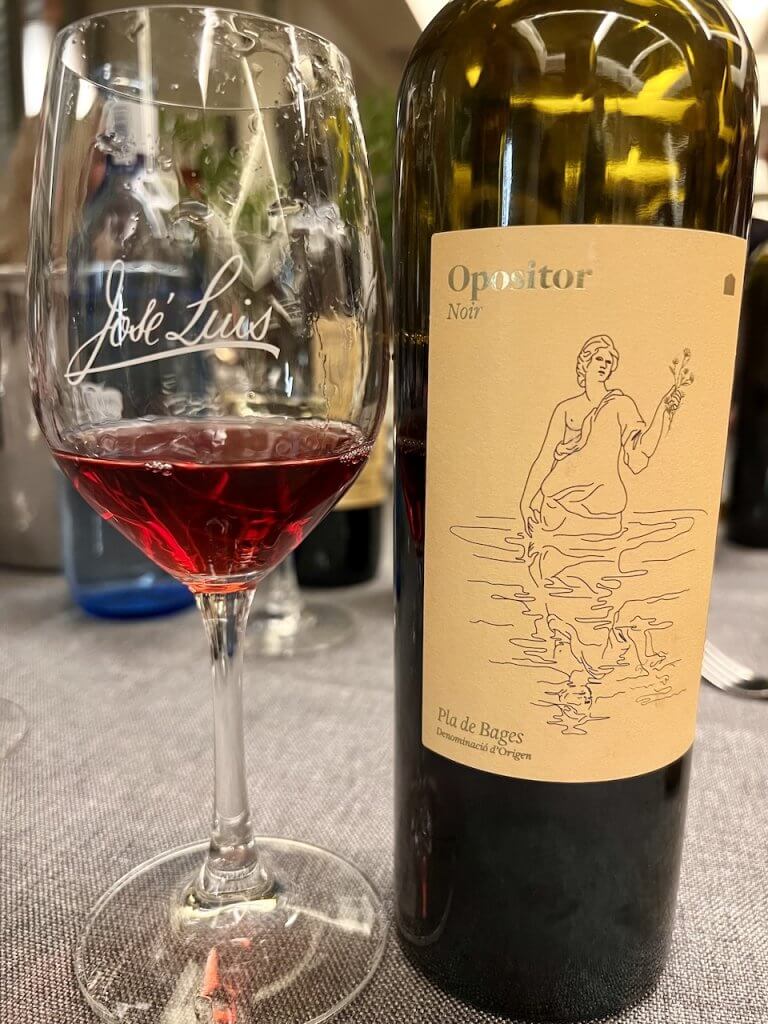 Opositor Noir