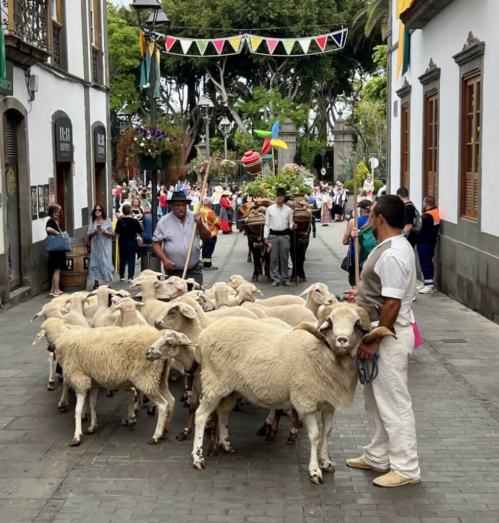 Arucas.Gran Canaria
