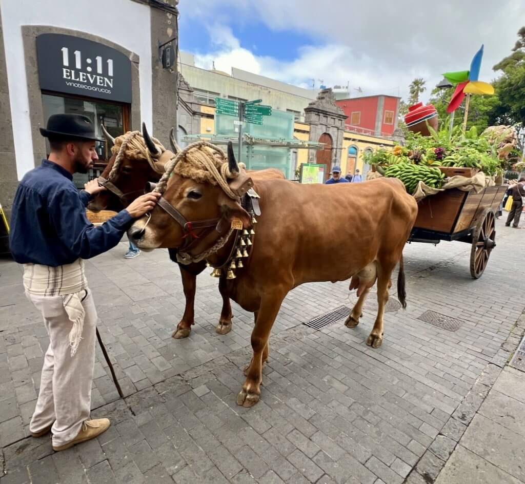 Arucas.Gran Canaria
